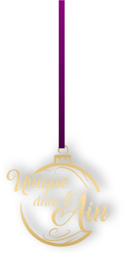 Ain&rsquo;croyable Noël : un concept unique dans le département de l&rsquo;Ain (01)